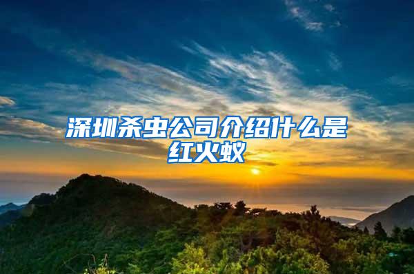 深圳杀虫公司介绍什么是红火蚁