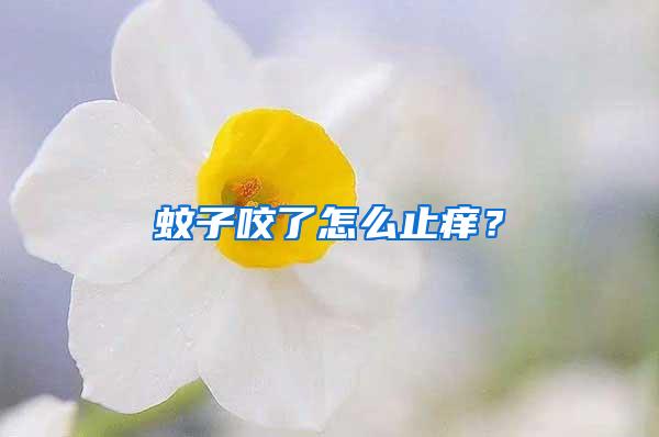 蚊子咬了怎么止痒？