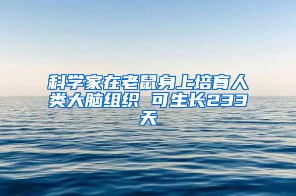 科学家在老鼠身上培育人类大脑组织 可生长233天