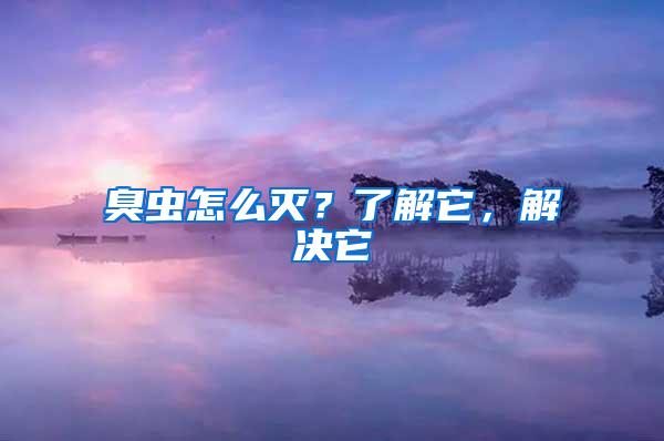 臭虫怎么灭？了解它，解决它