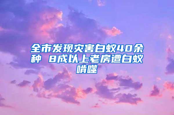 全市发现灾害白蚁40余种 8成以上老房遭白蚁啃噬