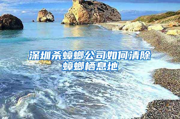 深圳杀蟑螂公司如何清除蟑螂栖息地