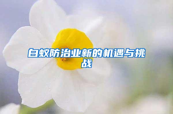 白蚁防治业新的机遇与挑战