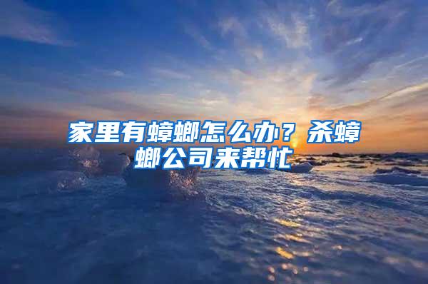 家里有蟑螂怎么办？杀蟑螂公司来帮忙