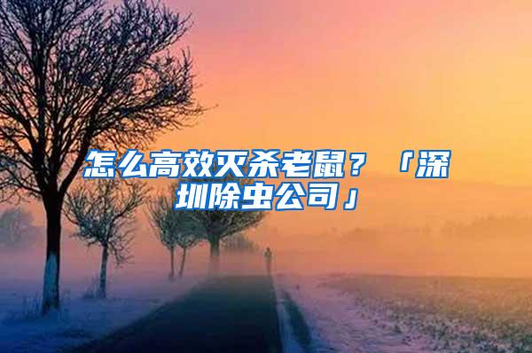 怎么高效灭杀老鼠？「深圳除虫公司」