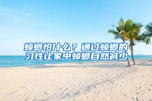 蟑螂怕什么？通过蟑螂的习性让家中蟑螂自然减少