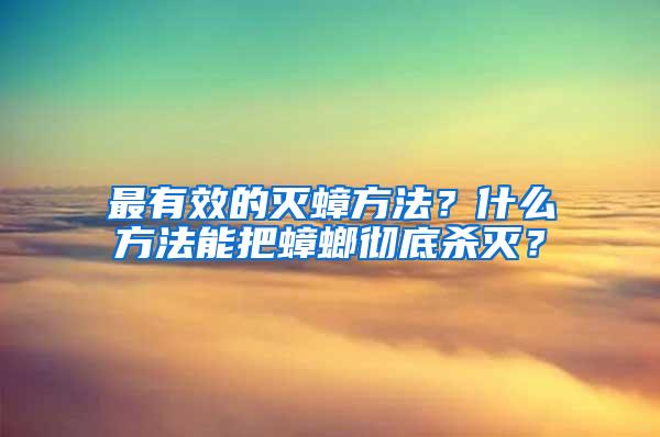 最有效的灭蟑方法？什么方法能把蟑螂彻底杀灭？