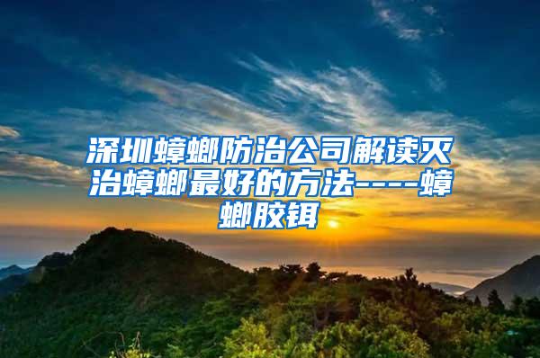 深圳蟑螂防治公司解读灭治蟑螂最好的方法----蟑螂胶铒