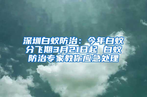 深圳白蚁防治：今年白蚁分飞期3月21日起 白蚁防治专家教你应急处理