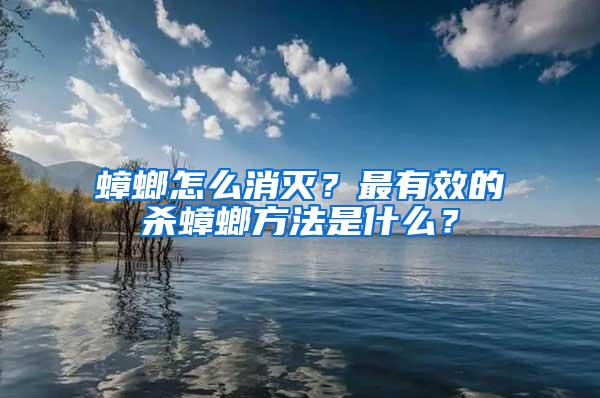 蟑螂怎么消灭？最有效的杀蟑螂方法是什么？