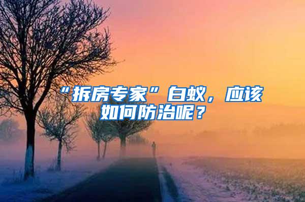 “拆房专家”白蚁，应该如何防治呢？