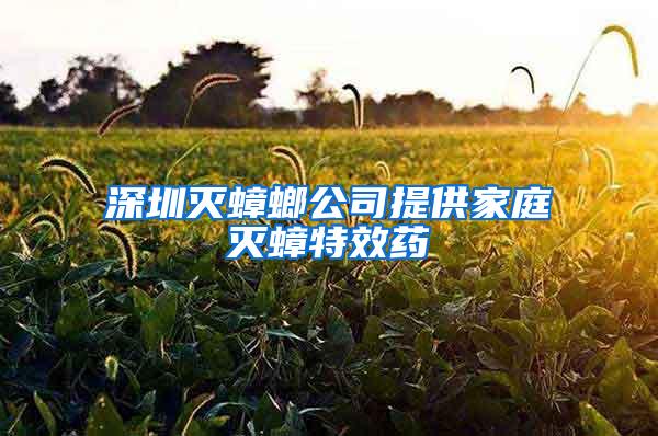 深圳灭蟑螂公司提供家庭灭蟑特效药