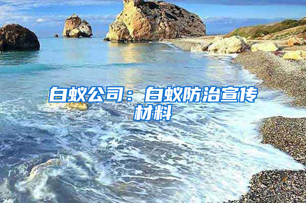 白蚁公司：白蚁防治宣传材料