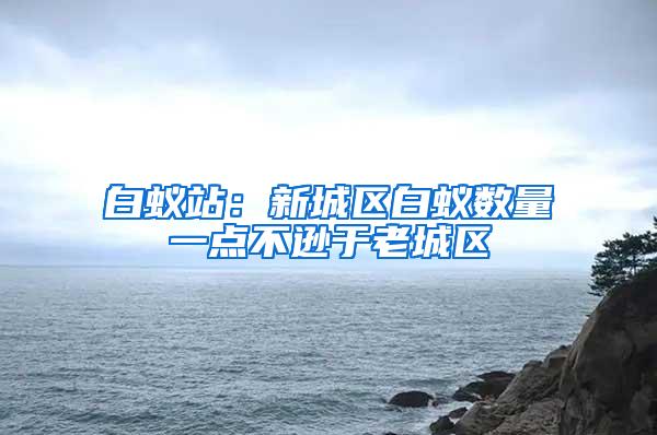 白蚁站：新城区白蚁数量一点不逊于老城区